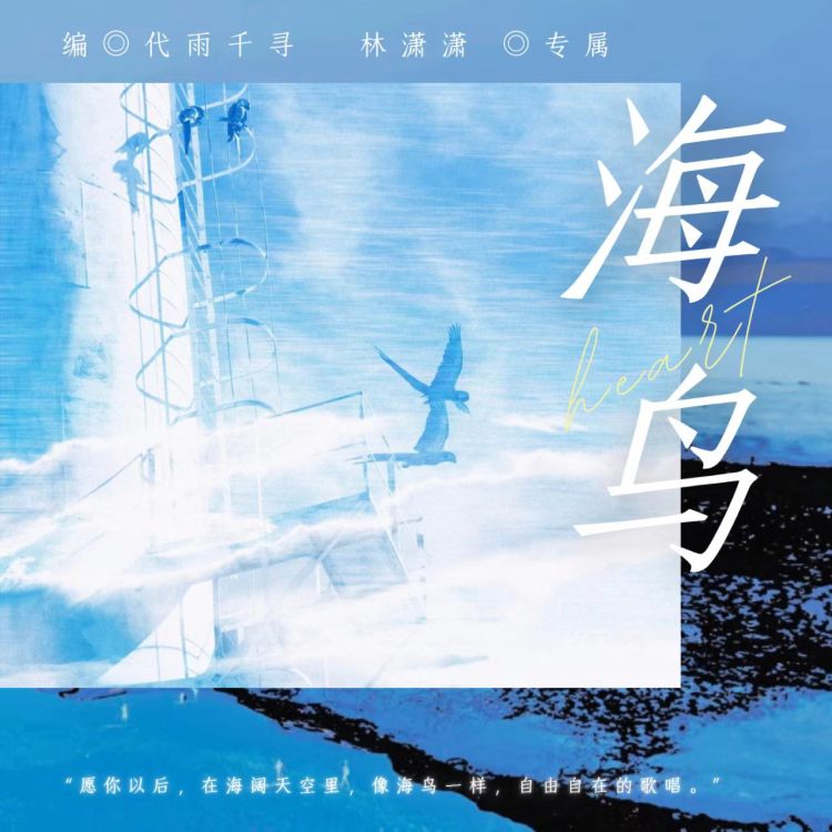 海鸟